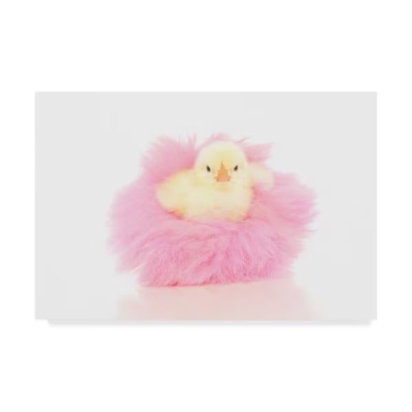 Andrea Mascitti Puppies 'Chick Puff' Canvas Art, 12x19, Trademark Fine Art, Mfr#: ALI24477-C1219GG